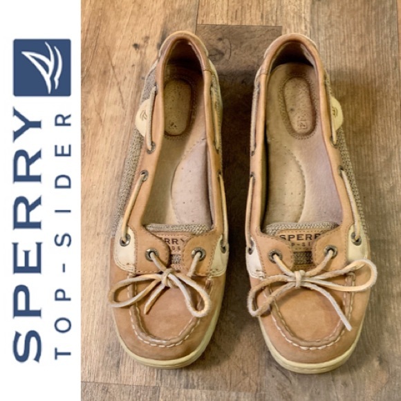 sperry angelfish